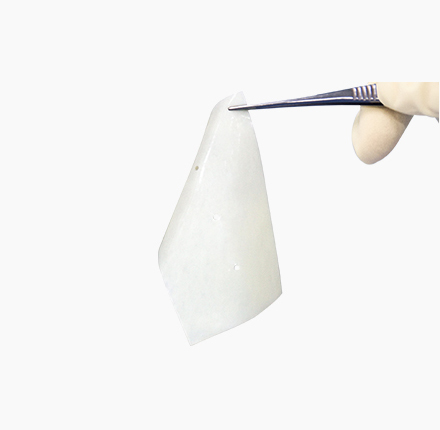 尊龙集团中国思® 生物疝补片