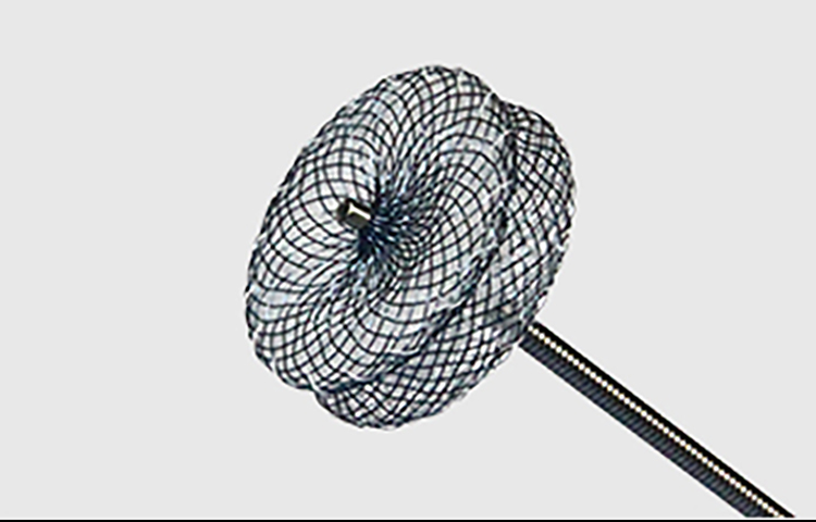 心脏间隔缺损尊龙集团中国医疗封堵产品介绍