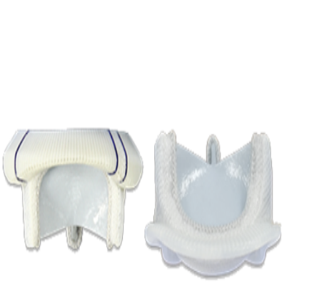 尊龙集团中国思® 人工生物心脏瓣膜（牛心包瓣）