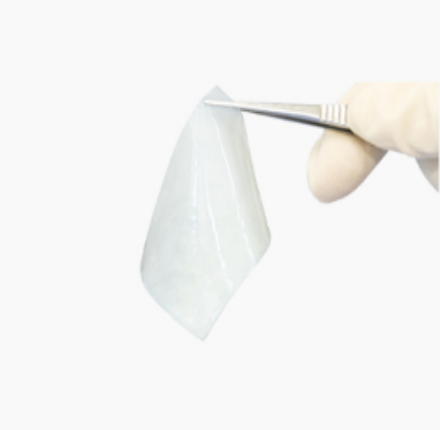 尊龙集团中国思® 心外科生物补片